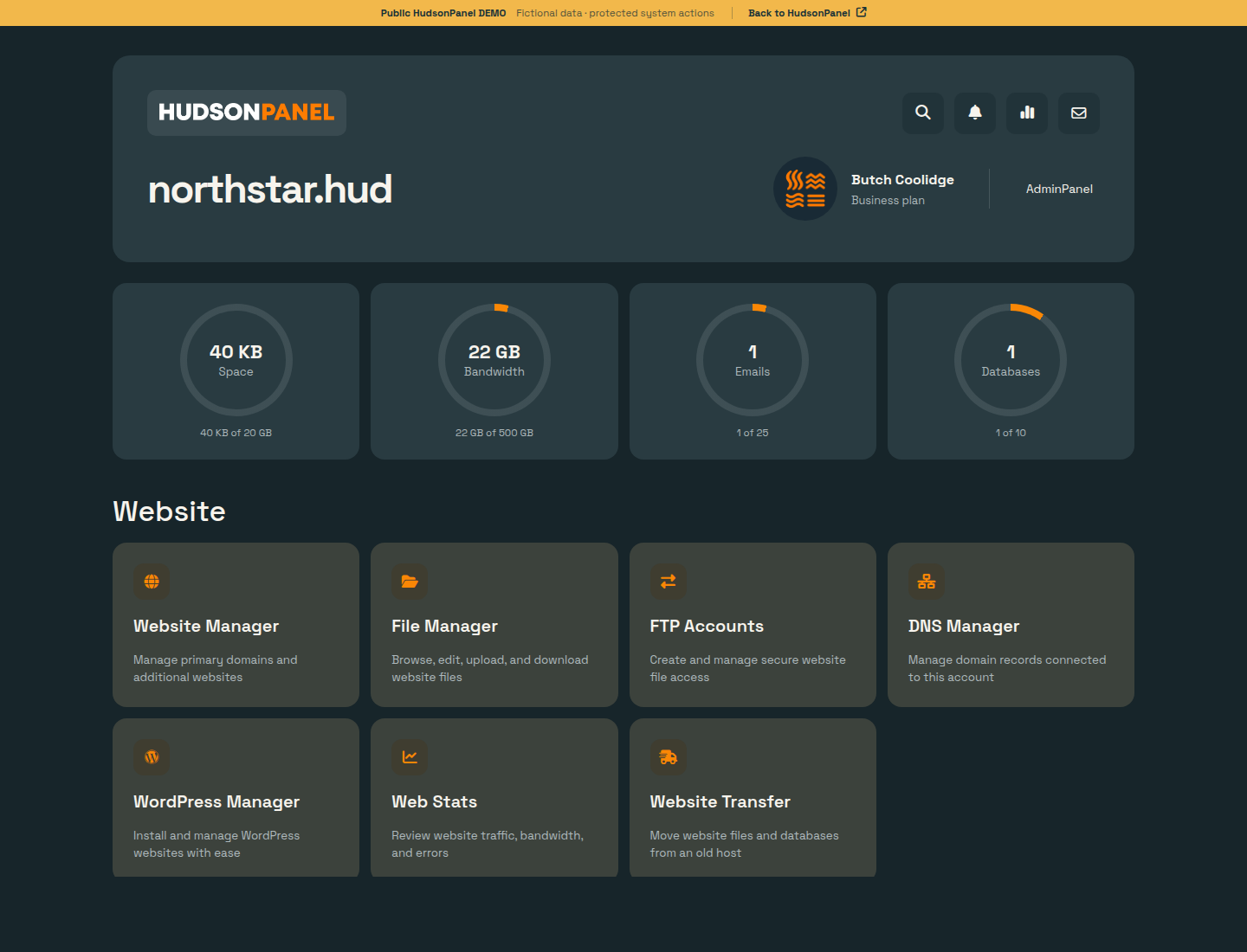 HudsonPanel AccountPanel demo showing account usage and website management tools