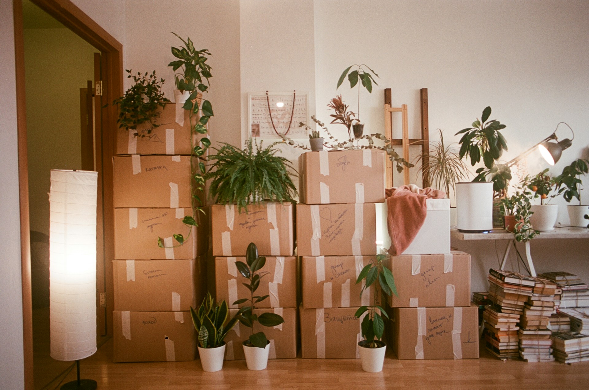 Boxes