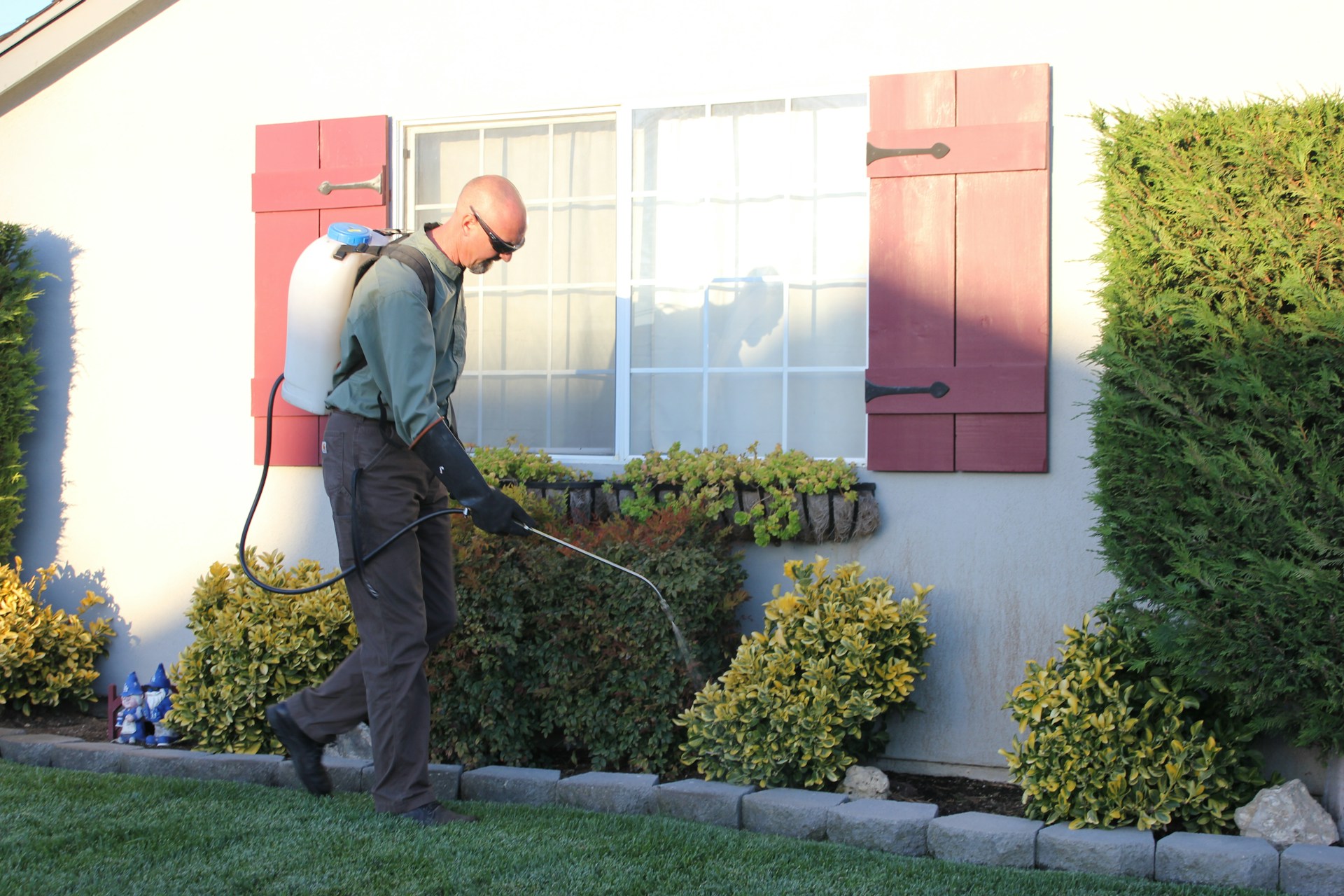 Insect Control