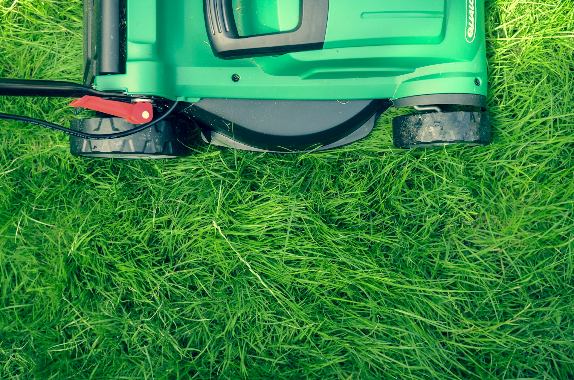 Landscaping Lawn